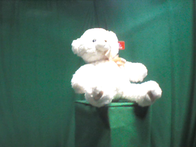 135 Degrees _ Picture 9 _ White Teddy Bear Wearing Gold Ribbon.png